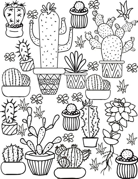 Free Printable Succulent Coloring Pages